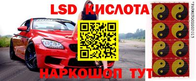 соль ск Будённовск