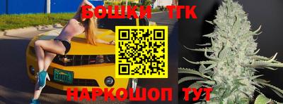 гашик Бийск