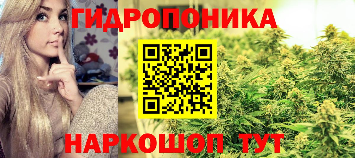 Бошки Шишки конопля Калуга